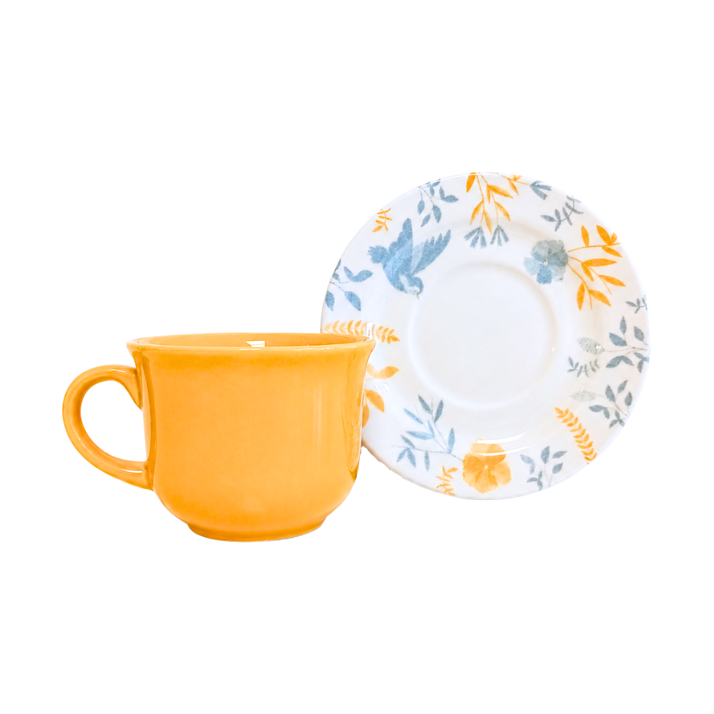TAZA TE 200CC C/PLATO BEM TE VI BIONA