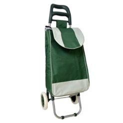 CHANGUITO FERIA VERDE OSCURO 251256C